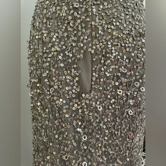 🌟Host Pick🌟Women’s Silver Tiffany Designs Sequined Gown
